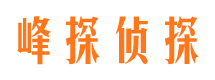 常州私家侦探